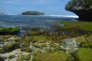 Rasakan Kehidupan Lokal: Paket Wisata Jogja yang Unik dan Autentik dari Dalijo Tour